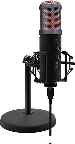 Микрофон Ritmix RDM-260 USB Eloquence