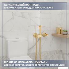Гигиенический душ Lauter Sano 21LT1294GL