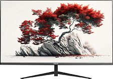 Монитор RDW Computers RDW2701K/Q00B0