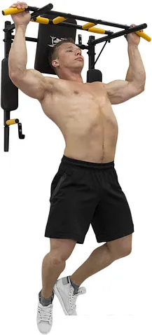 Турник Absolute Champion Железное тело