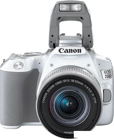 Зеркальный фотоаппарат Canon EOS 250D Kit 18-55 IS STM (белый)
