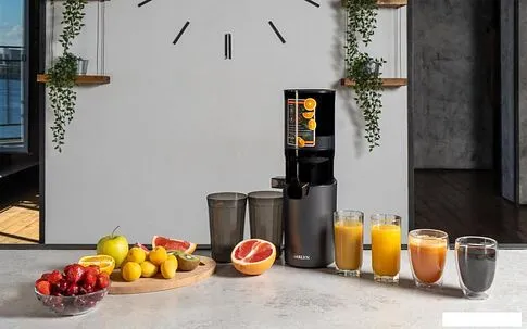 Соковыжималка Garlyn J-400