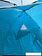 Треккинговая палатка Calviano Acamper Acco 4 (бирюзовый)