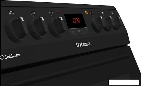 Кухонная плита Hansa FCCM58209H