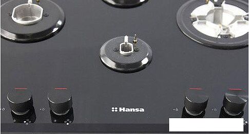 Варочная панель Hansa BHKS65135