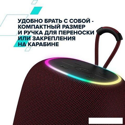 Беспроводная колонка Canyon BSP-8 (черный)