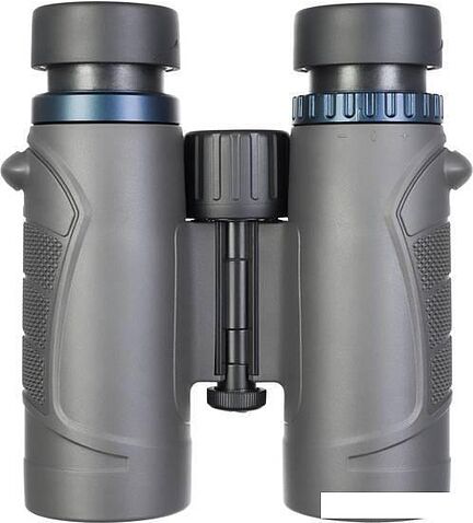 Бинокль Levenhuk Nitro 10x32 (черный)