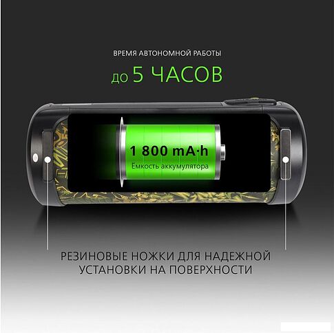 Беспроводная колонка SmartBuy Relax (черный/зеленый)