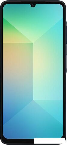 Смартфон Samsung Galaxy A06 SM-A065F 4GB/64GB (черный)