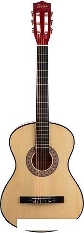 Акустическая гитара Terris TC-3805A NA