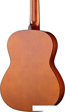 Акустическая гитара Naranda CG120-4/4