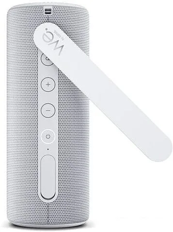 Беспроводная колонка Loewe We. HEAR 1 (серый)