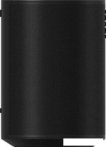 Беспроводная аудиосистема Sonos Era 100 (черный)