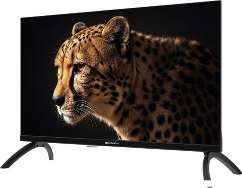 Телевизор Topdevice 24" WILDRED TDWC24BH2210I