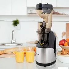 Соковыжималка Endever Sigma-103 Соковыжималка Endever Sigma-103
