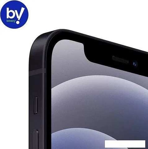 Смартфон Apple iPhone 12 64GB Воcстановленный by Breezy, грейд B (черный)