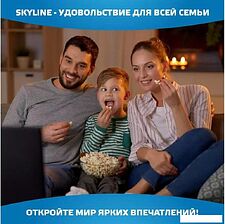Телевизор Skyline 43LST6385