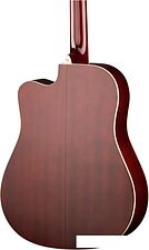 Акустическая гитара Naranda DG220CWRS