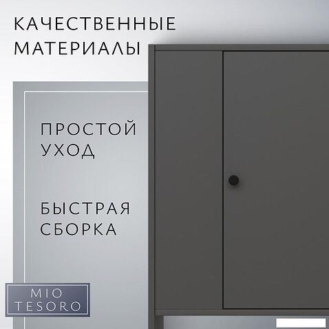 Тумба Mio Tesoro Мини 1 дверь 2.07.03.090.2 (черный)