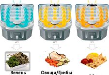 Сушилка для овощей и фруктов Tefal Fruit Air (DF100830) Сушилка для овощей и фруктов Tefal Fruit Air (DF100830)