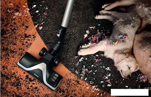 Пылесос Tefal TW7647EA