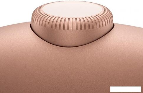 Наушники Apple AirPods Max (с разъёмом USB Type-C, оранжевый)