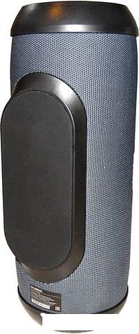 Беспроводная колонка Hyundai H-PAC420