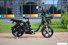 Электровелосипед Terax DVINA LITE NS011