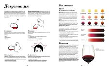 КоЛибри. Wine Folly. Издание Магнум, детализированное (Мадлен Пакетт; Джастин Хэммек)