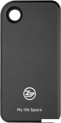 Внешний накопитель KingSpec Z3S 512GB (черный)