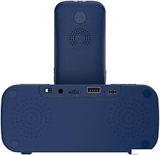 Кнопочный телефон Maxvi RT-03 (синий)