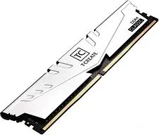 Оперативная память Team T-Create Classic 10L 2x16GB DDR4 PC4-25600 TTCCD432G3200HC22DC01 Оперативная память Team T-Create Classic 10L 2x16GB DDR4 PC4-25600 TTCCD432G3200HC22DC01