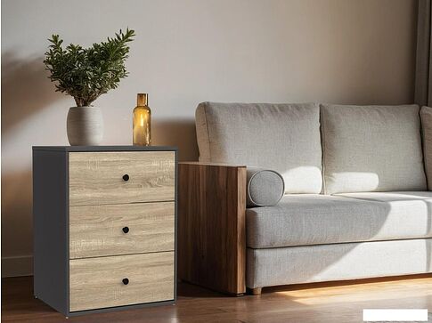 Тумба Mio Tesoro Мини 3 ящика 2.07.03.060.12 (черный/сонома)