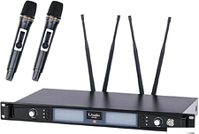 Радиосистема LAudio LS-602