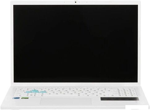 Игровой ноутбук Acer Nitro Lite NL16-71G-74YP NH.D26CD.002