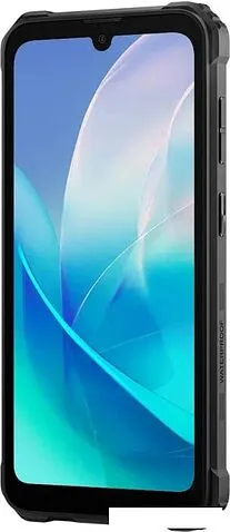 Смартфон Blackview BV5300 Plus (черный)