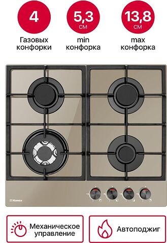 Варочная панель Hansa BHKY61139