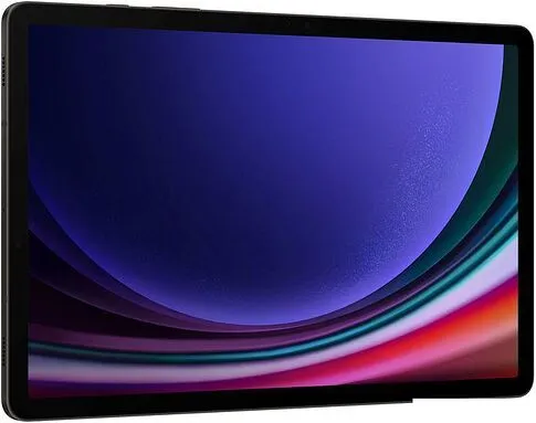Планшет Samsung Galaxy Tab S9 5G SM-X716 12GB/256GB (графитовый)
