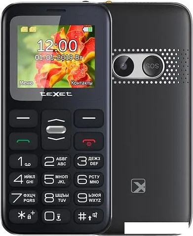 Мобильный телефон TeXet TM-B209 (черный)
