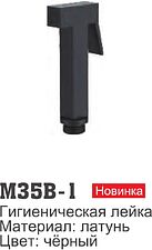 Душевая лейка Ledeme M35B-1