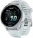 Умные часы Garmin Forerunner 570 42 мм (голубой)