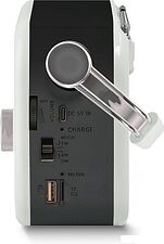 Радиоприемник Ritmix RPR-045 (белый)