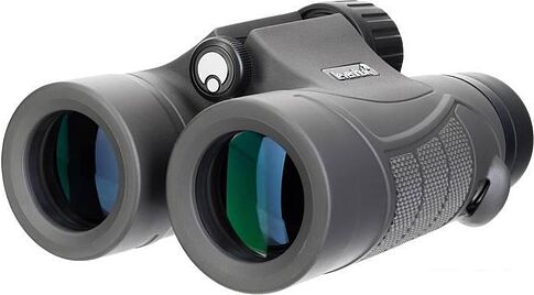 Бинокль Levenhuk Nitro 10x32 (черный)