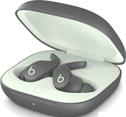 Наушники Beats Fit Pro (серый космос)