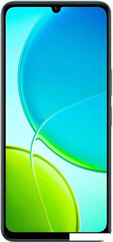 Телефон Vivo Y04s V2531 6GB/256GB международная версия (малахитовый черный)