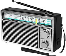 Радиоприемник Ritmix RPR-131