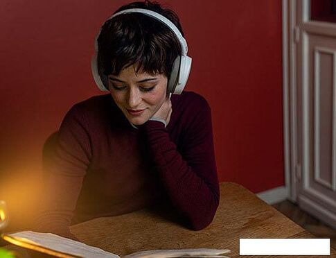 Наушники Sennheiser HD 350BT (белый)