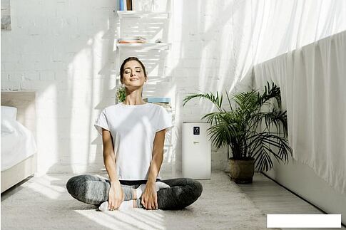 Очиститель воздуха Karcher AF 30 1.024-821.0