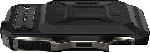 Мобильный телефон Maxvi P100 (черный)