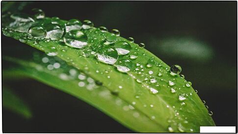 Дисплей для видеостен Dahua LS550KDM-UF